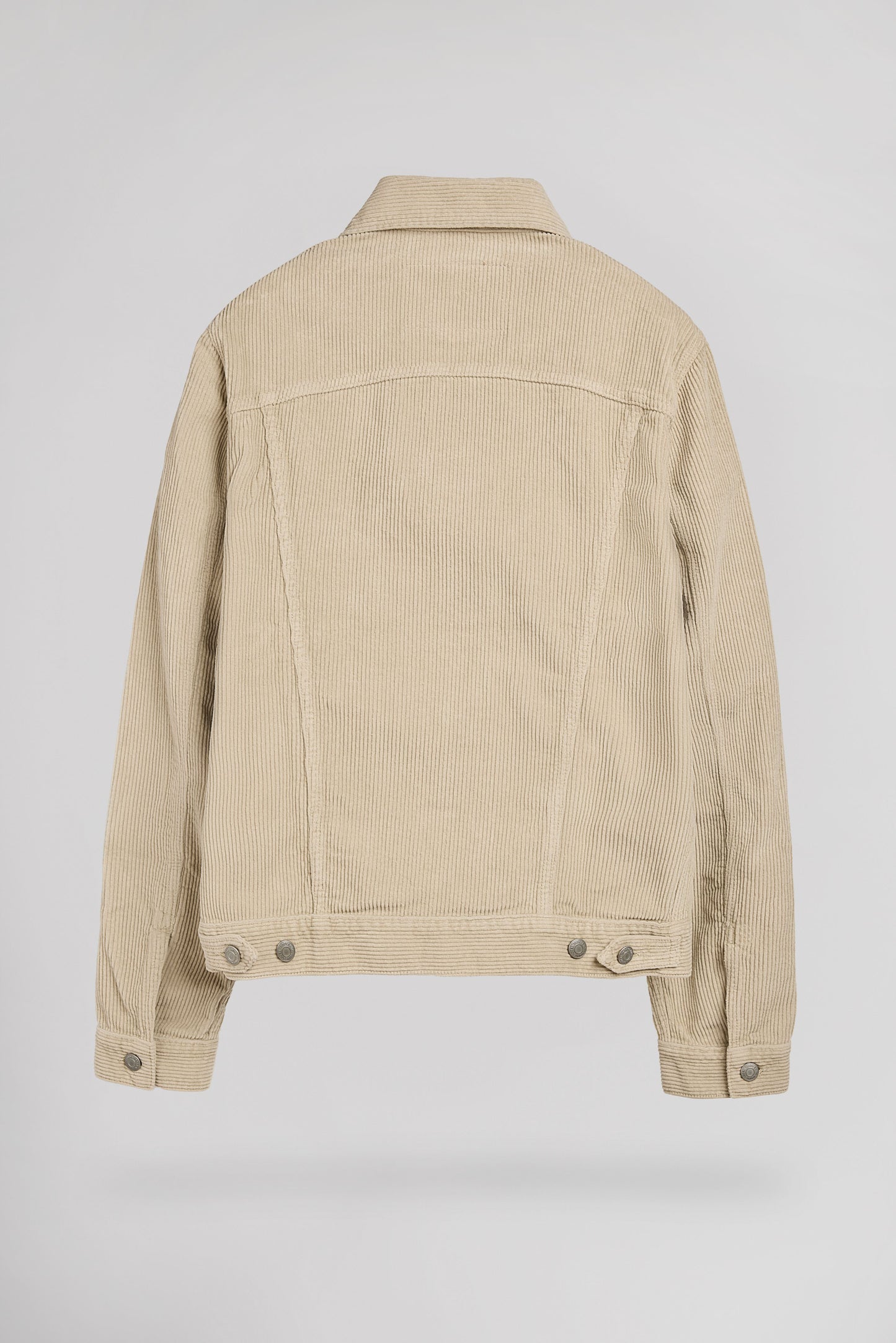 Blouson RANDALL VELOURS BEIGE