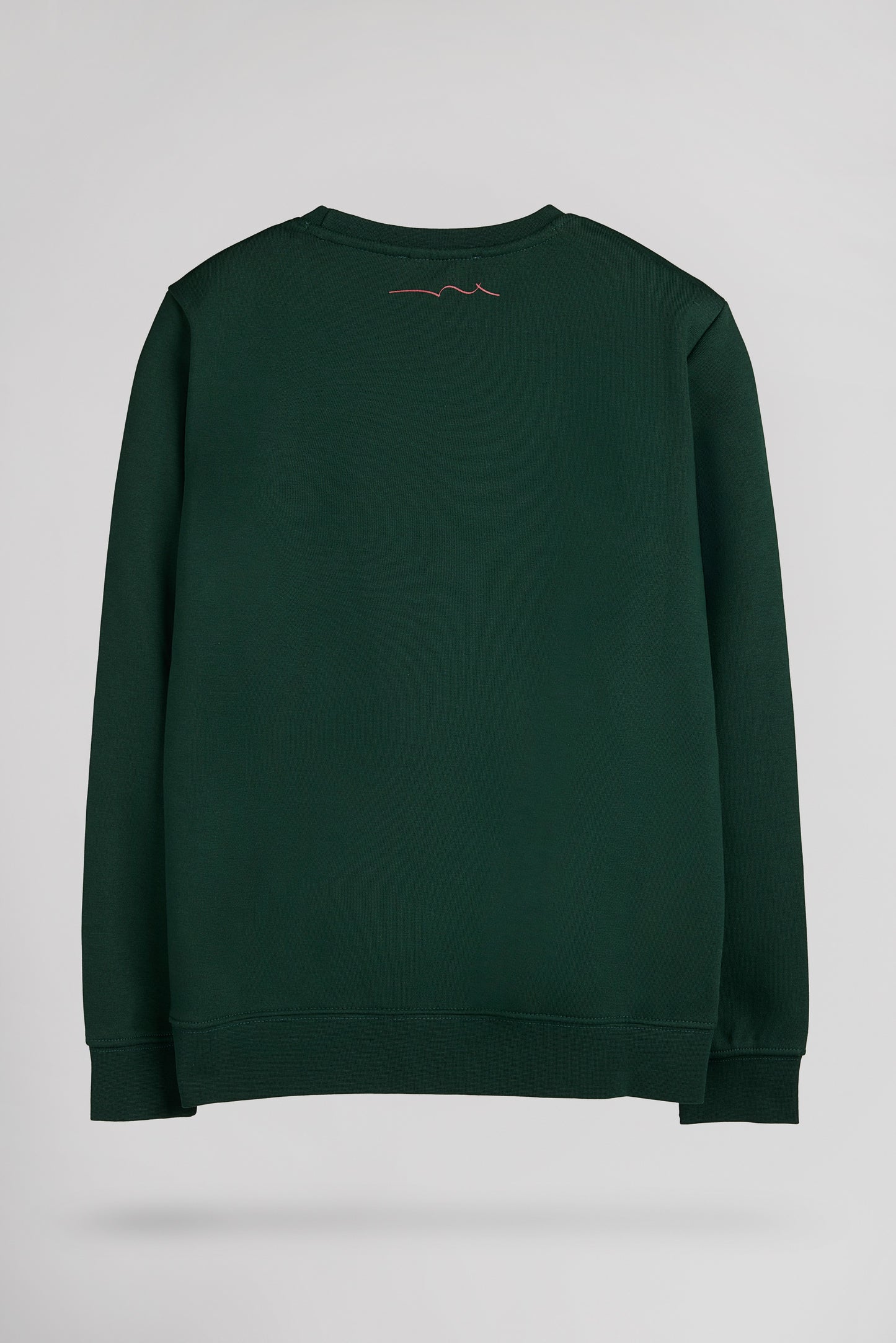 Sweat col rond S-NARK RC JR VERT SCARABE