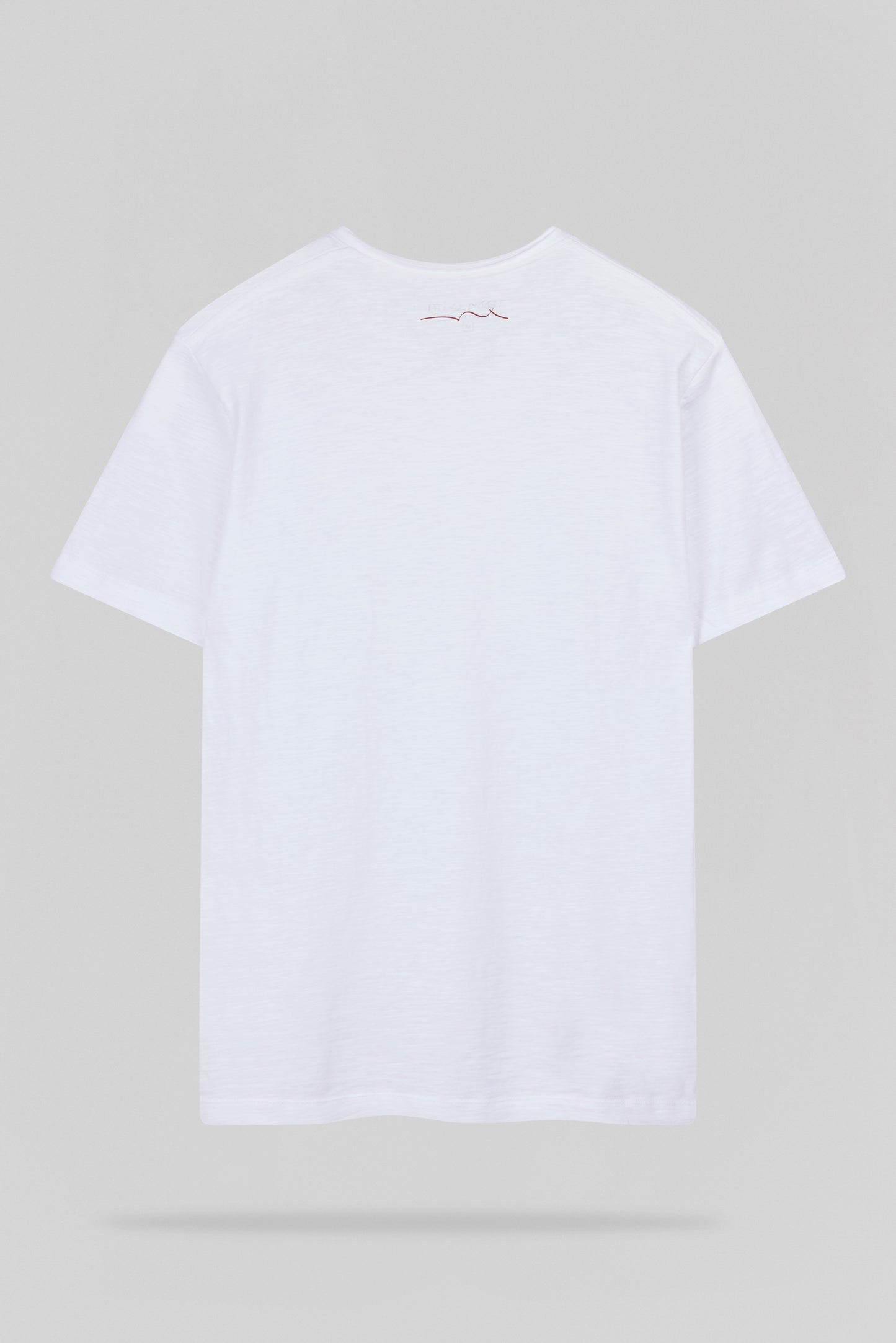 T-shirt col V T-GILDAS MC BLANC - Teddy Smith