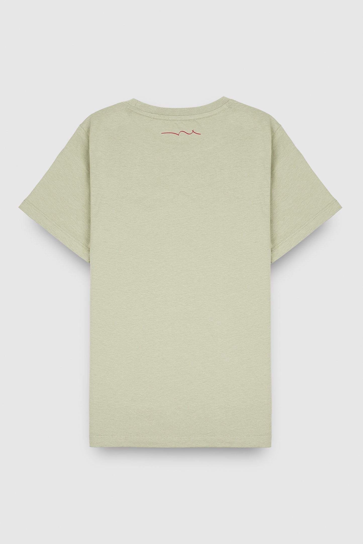 T-shirt col rond manches courtes T-EVAN MC JR VERT SAUGE