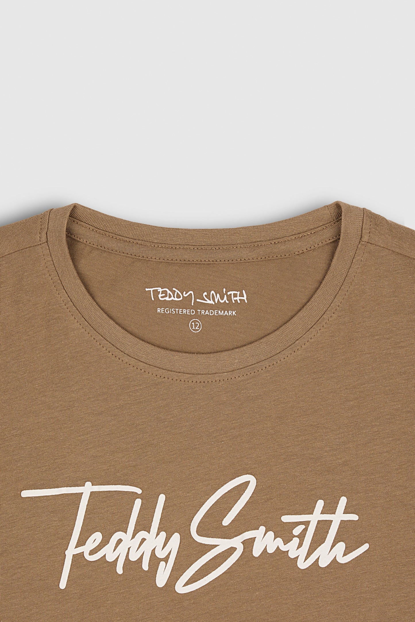 T-shirt col rond manches courtes T-EVAN MC JR CHATAIN