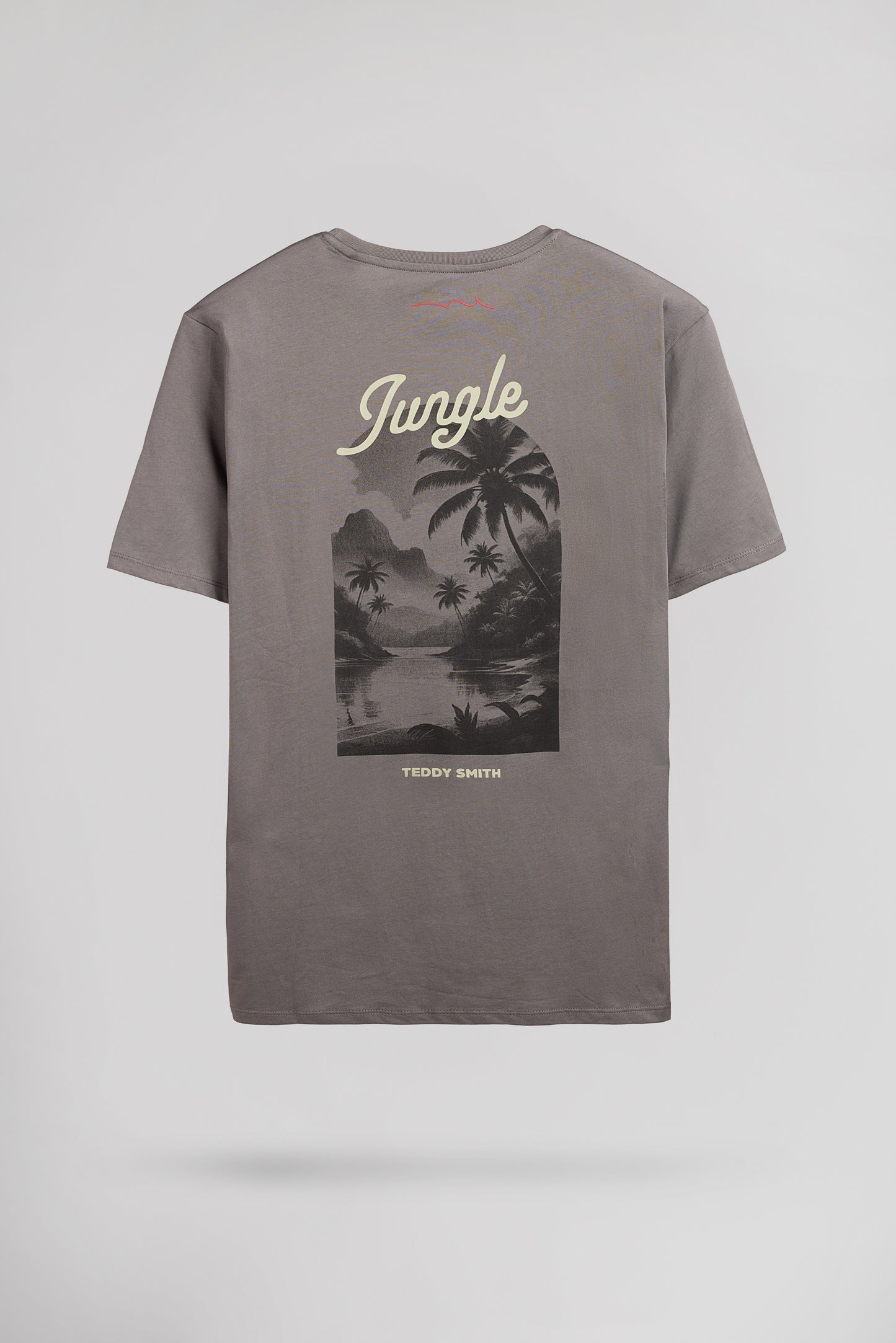 T-shirt col rond T-TROPICAL MC GRIS ARDOISE