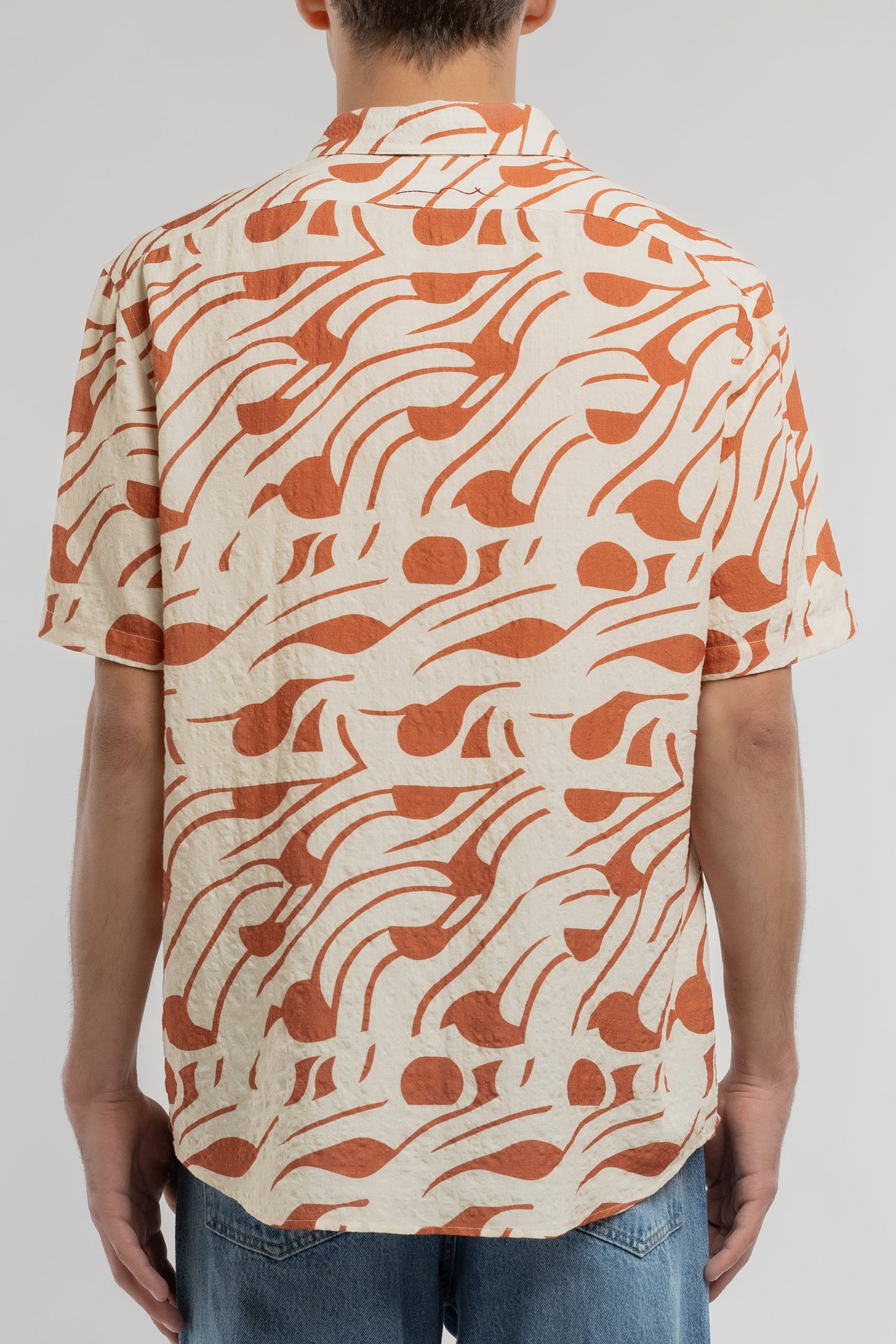 Chemise C-DIXON MC CREAM - Teddy Smith