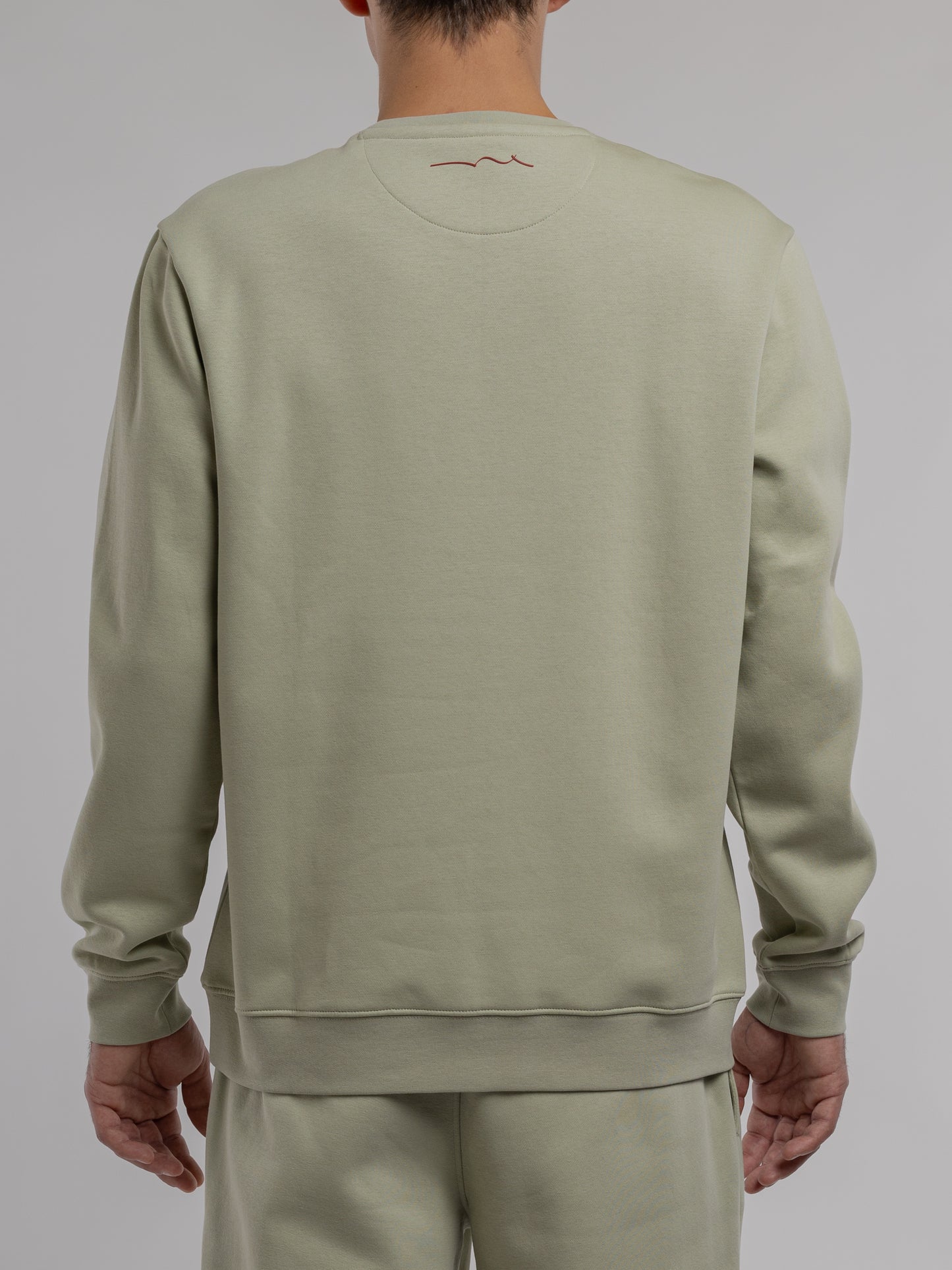 Sweat S-NARK RC VERT SAUGE - Teddy Smith