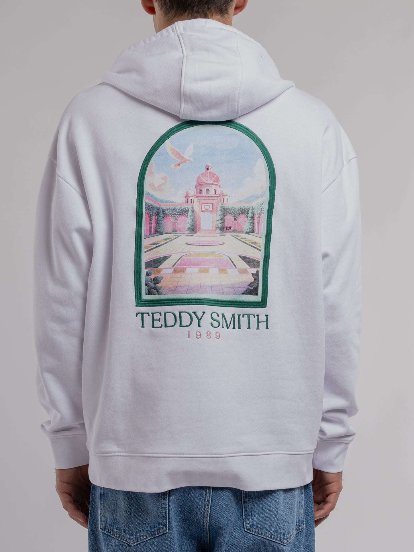 Sweat S-ANDREW HOODY BLANC - Teddy Smith