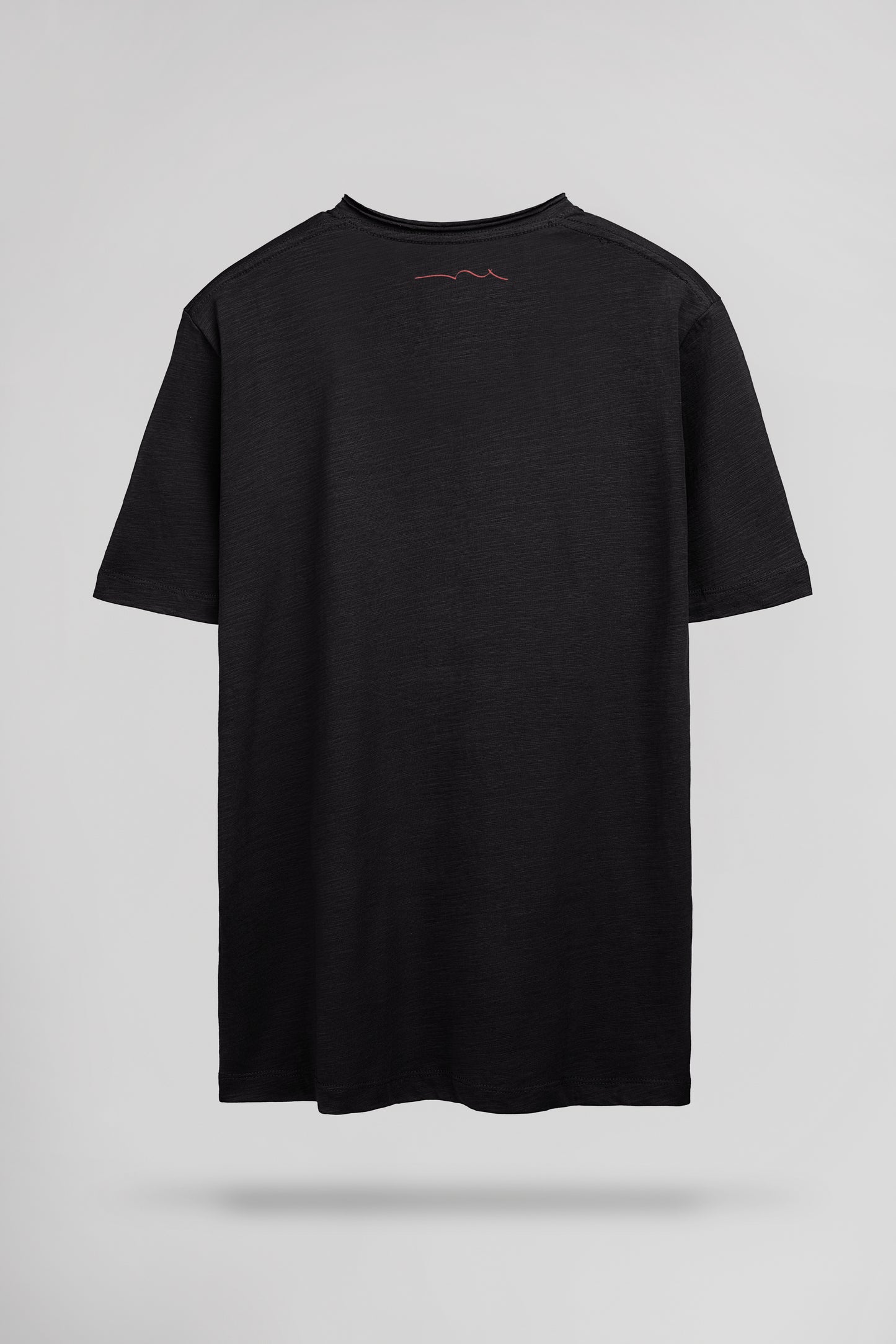 T-shirt col V T-GILDAS MC CHARBON - Teddy Smith