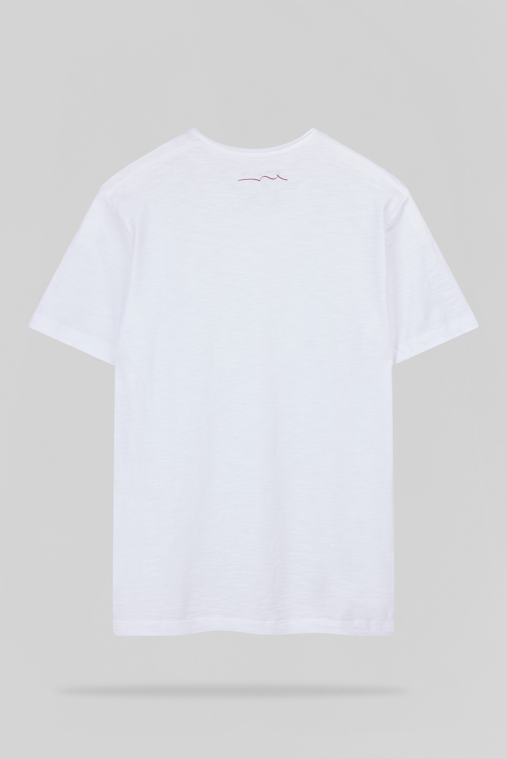 T-shirt col V T-GILDAS MC BLANC - Teddy Smith