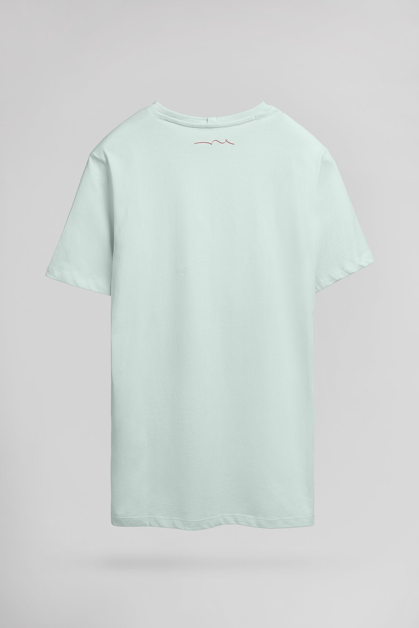 T-shirt col rond T-SOY 2 MC BLEACH MENTHOL - Teddy Smith
