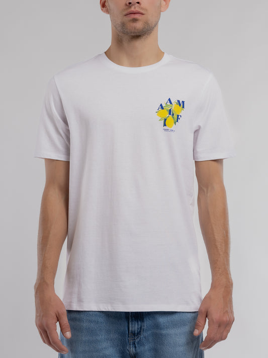 Achat T-shirt T-LEMON MC BLANC - Teddy Smith