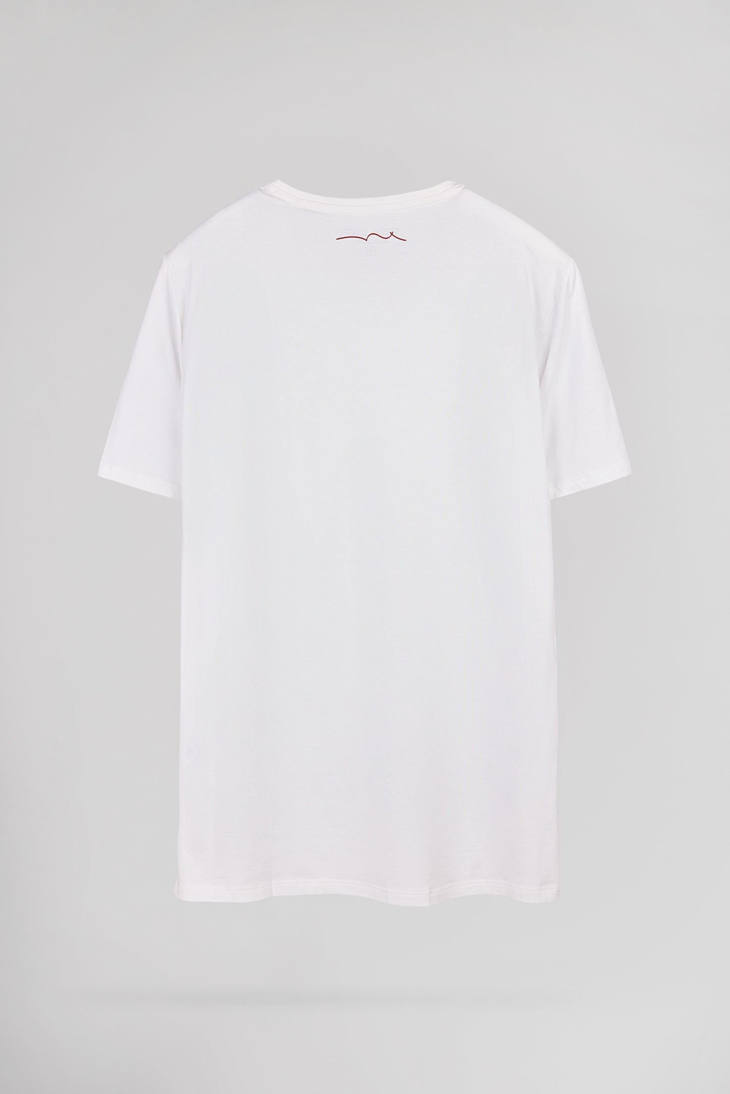 T-shirt T-TELO MC BLANC - Teddy Smith