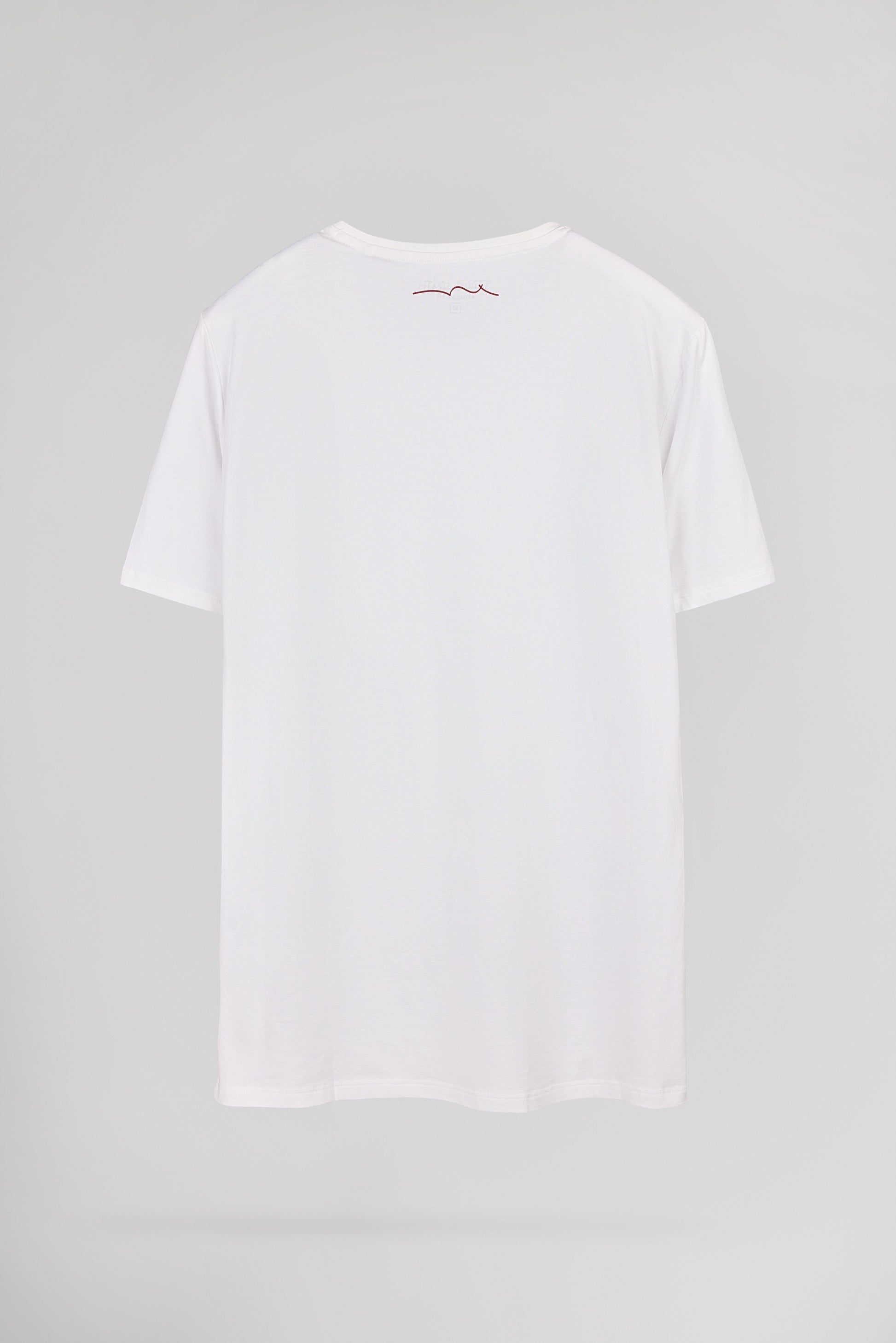 T-shirt T-TELO MC BLANC - Teddy Smith