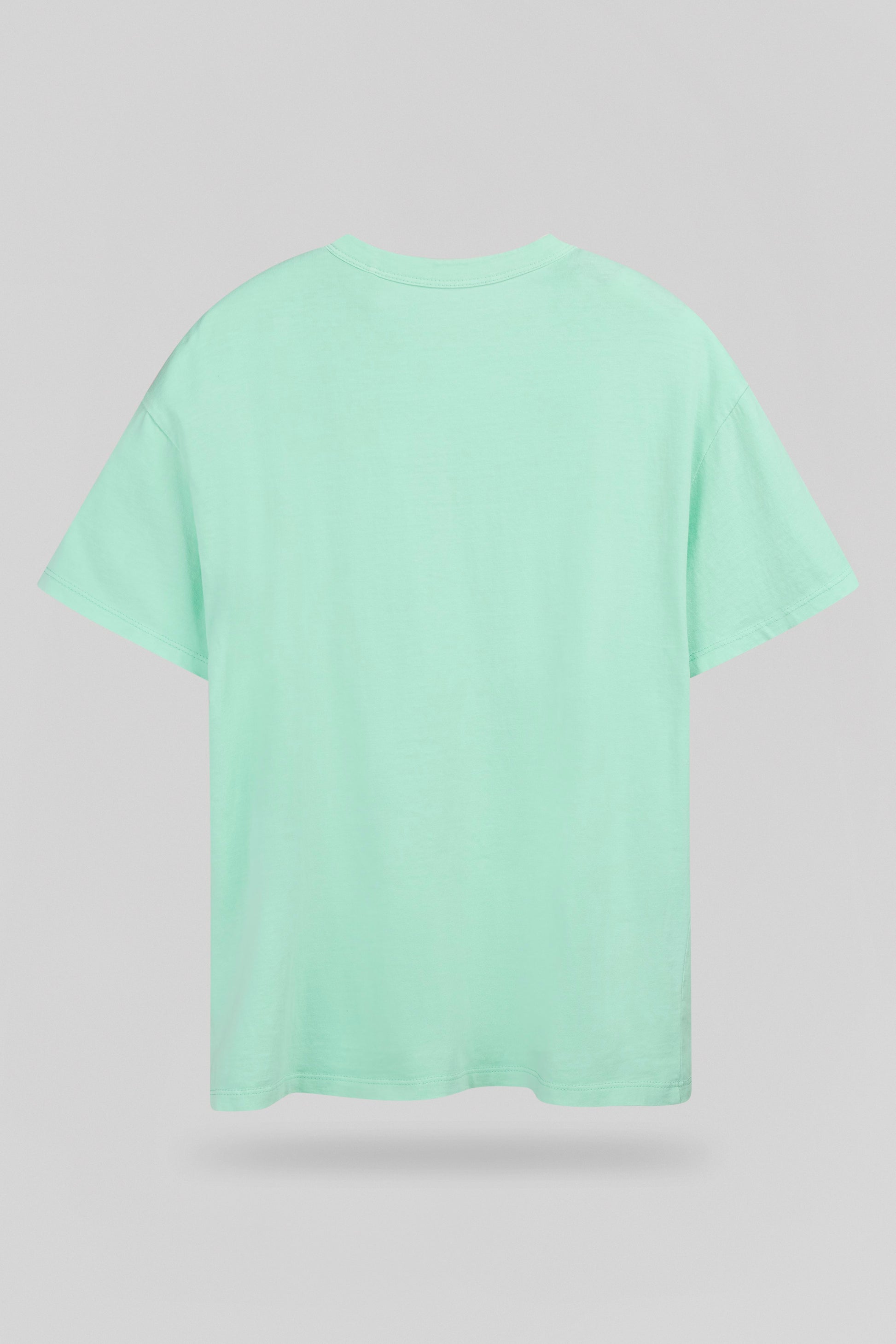 T-shirt col rond T-LAVA MC VERT MENTHE - Teddy Smith