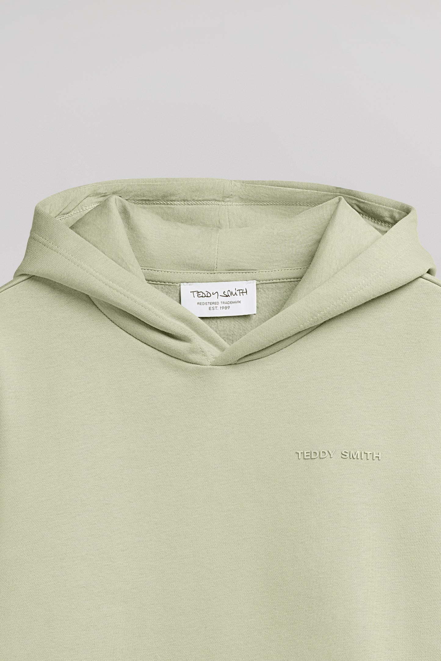 Sweat à capuche S-NARK HOODY JR VERT SAUGE - Teddy Smith