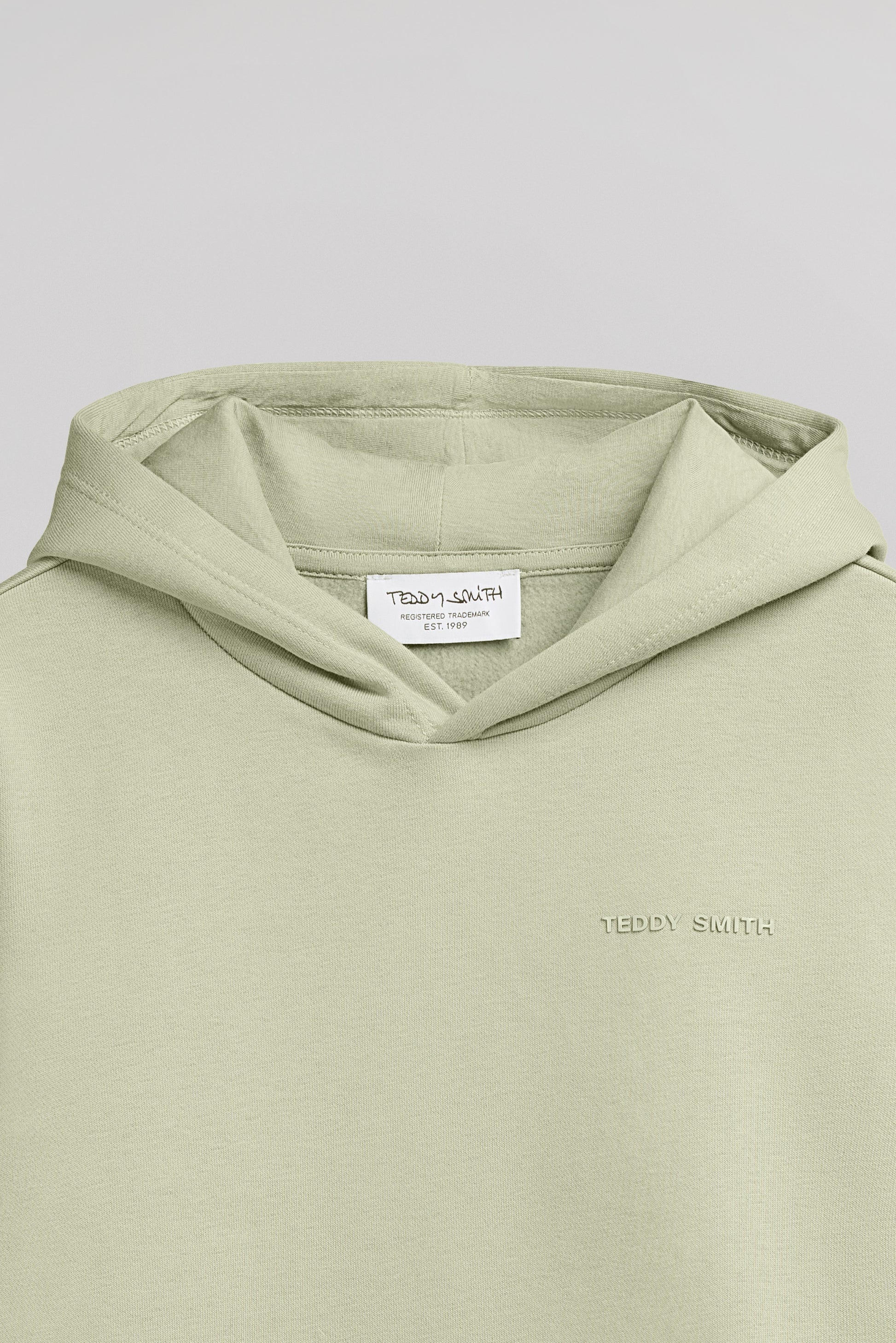 Sweat à capuche S-NARK HOODY JR VERT SAUGE - Teddy Smith