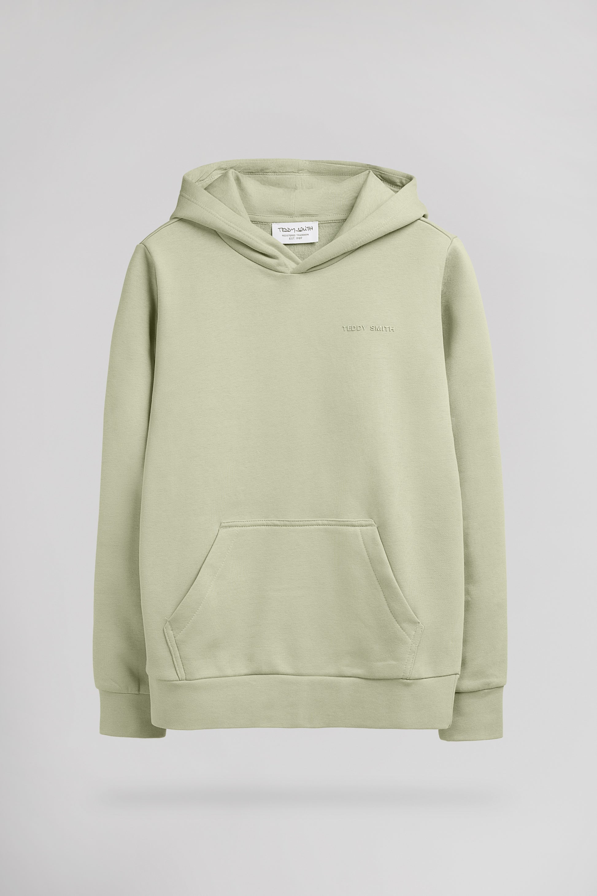 Sweat à capuche S-NARK HOODY JR VERT SAUGE - Teddy Smith