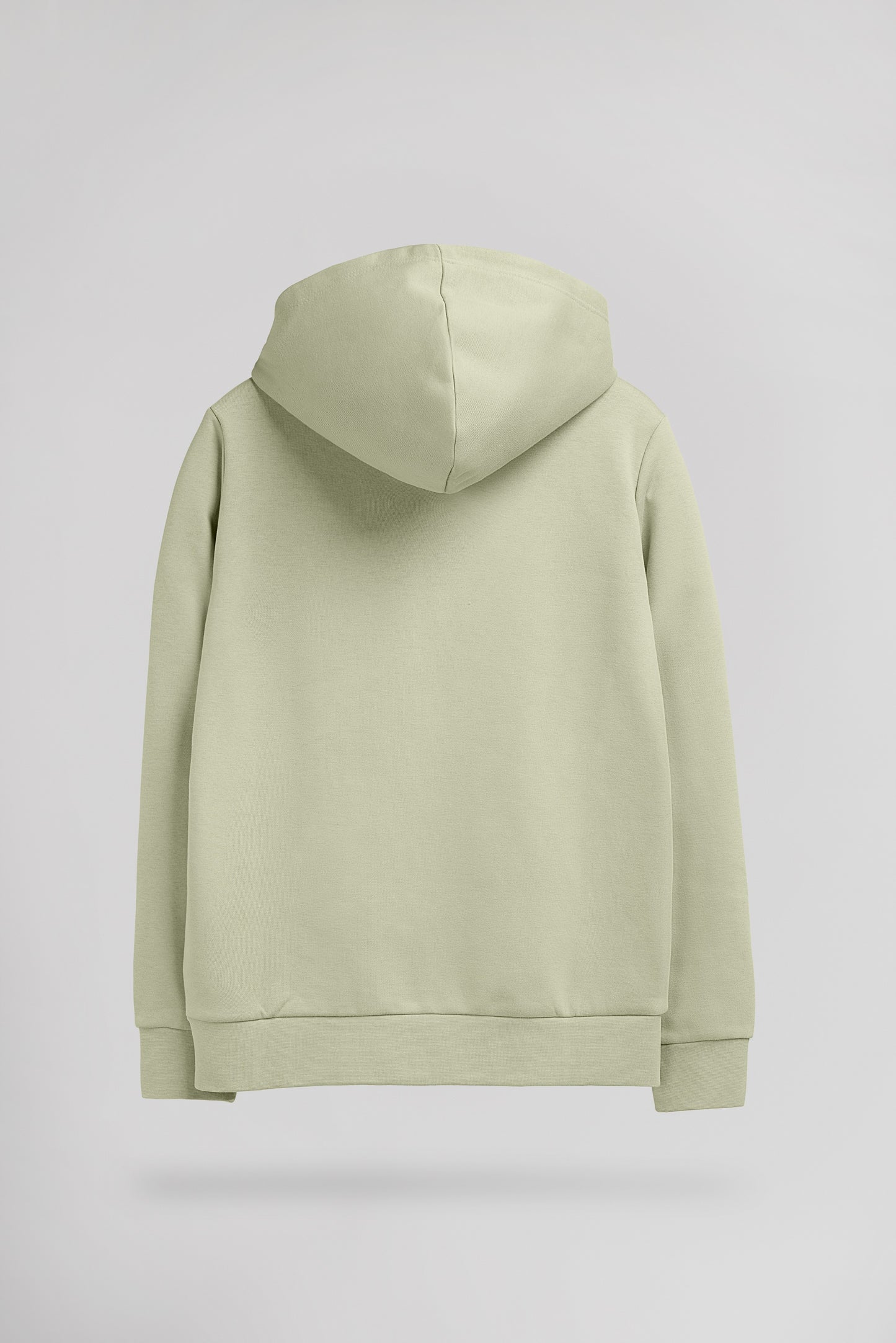 Sweat à capuche S-NARK HOODY JR VERT SAUGE - Teddy Smith