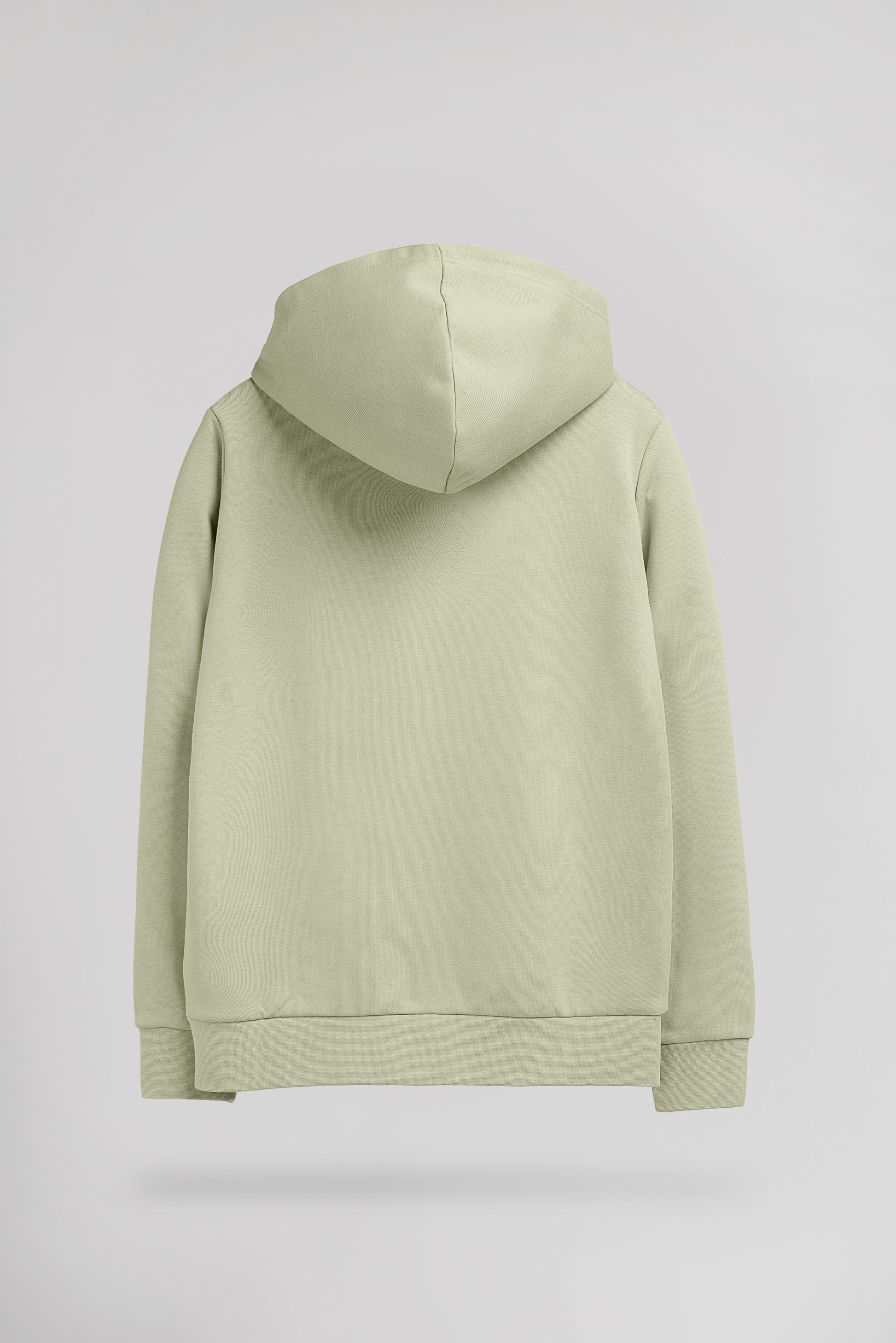 Sweat à capuche S-NARK HOODY JR VERT SAUGE - Teddy Smith