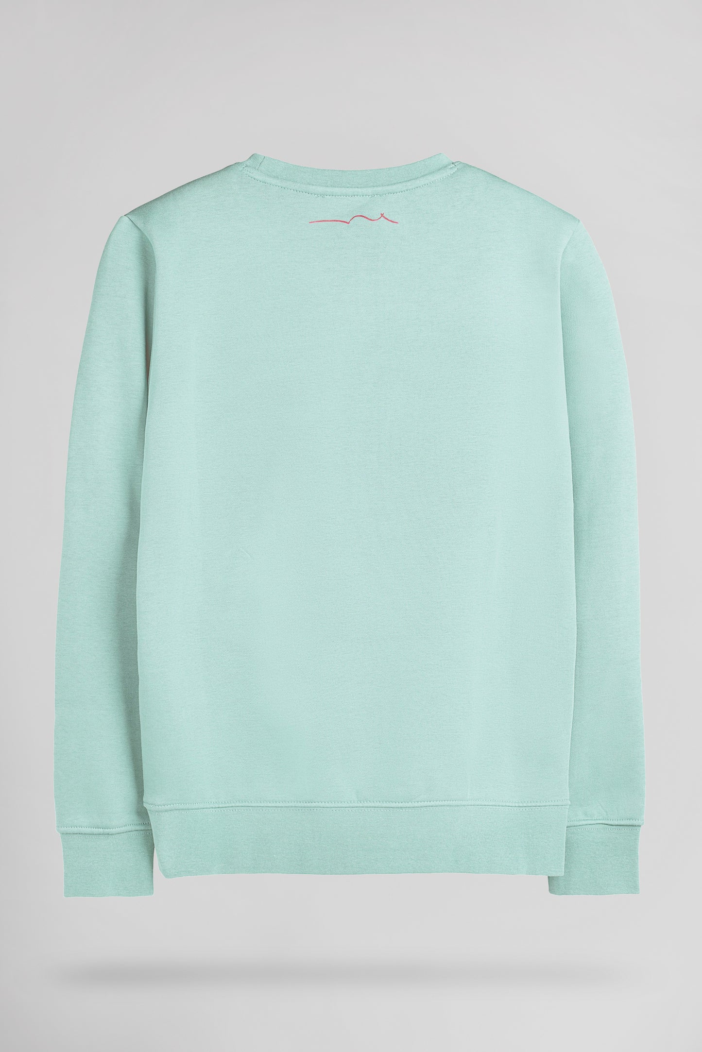 Sweat col rond S-NARK RC JR BLEACH MENTHOL - Teddy Smith