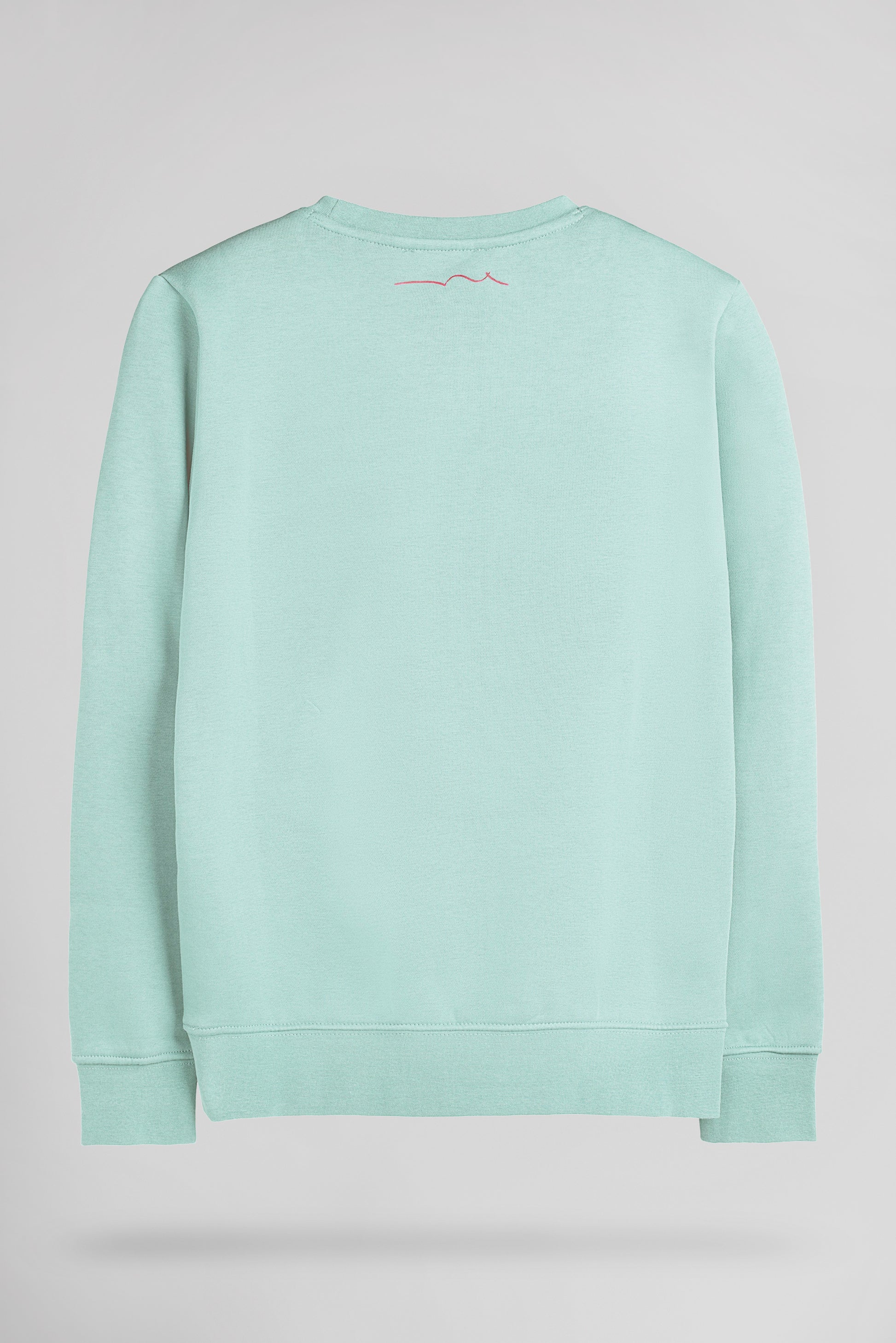 Sweat col rond S-NARK RC JR BLEACH MENTHOL - Teddy Smith