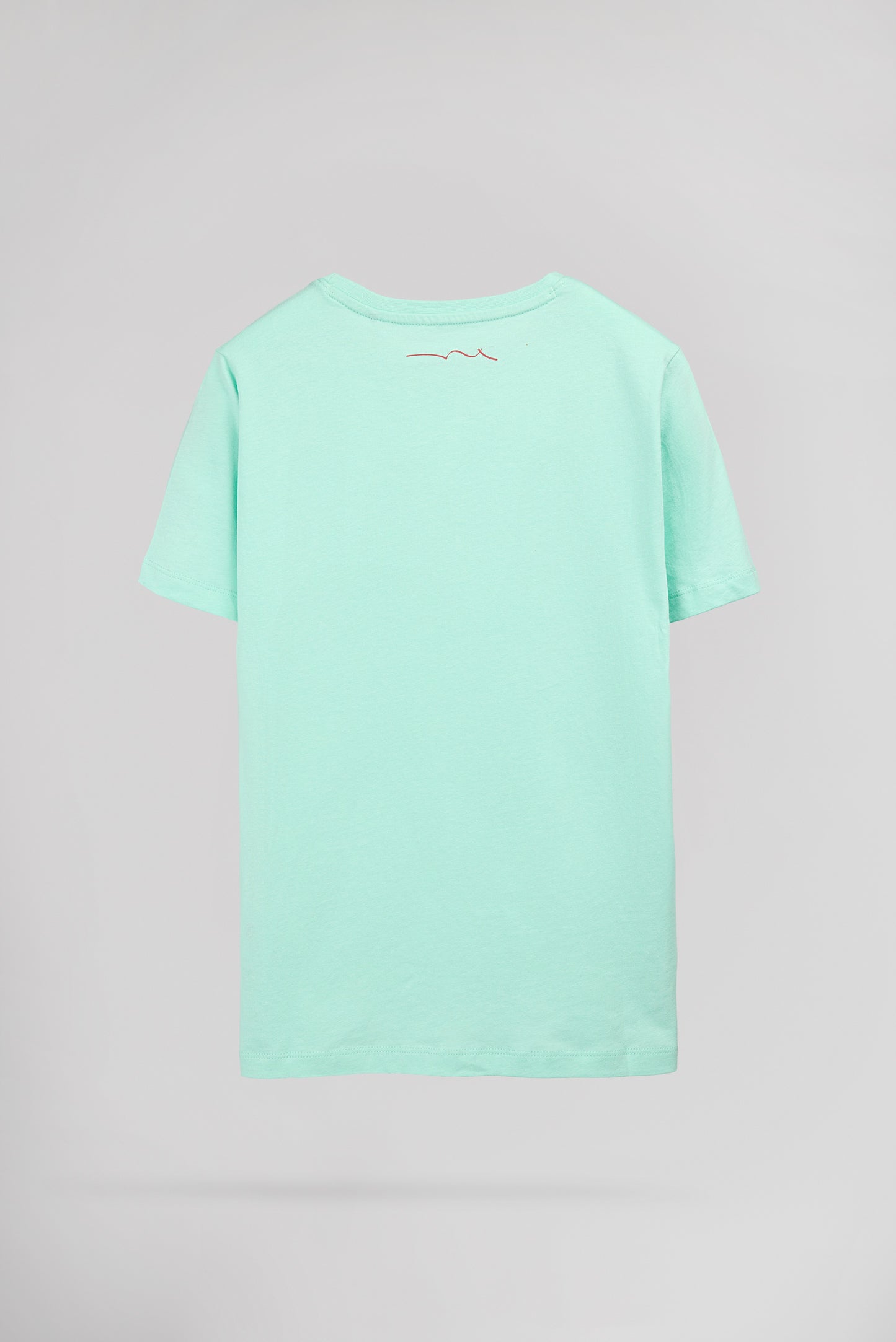 T-shirt T-EVAN MC JR VERT MENTHE