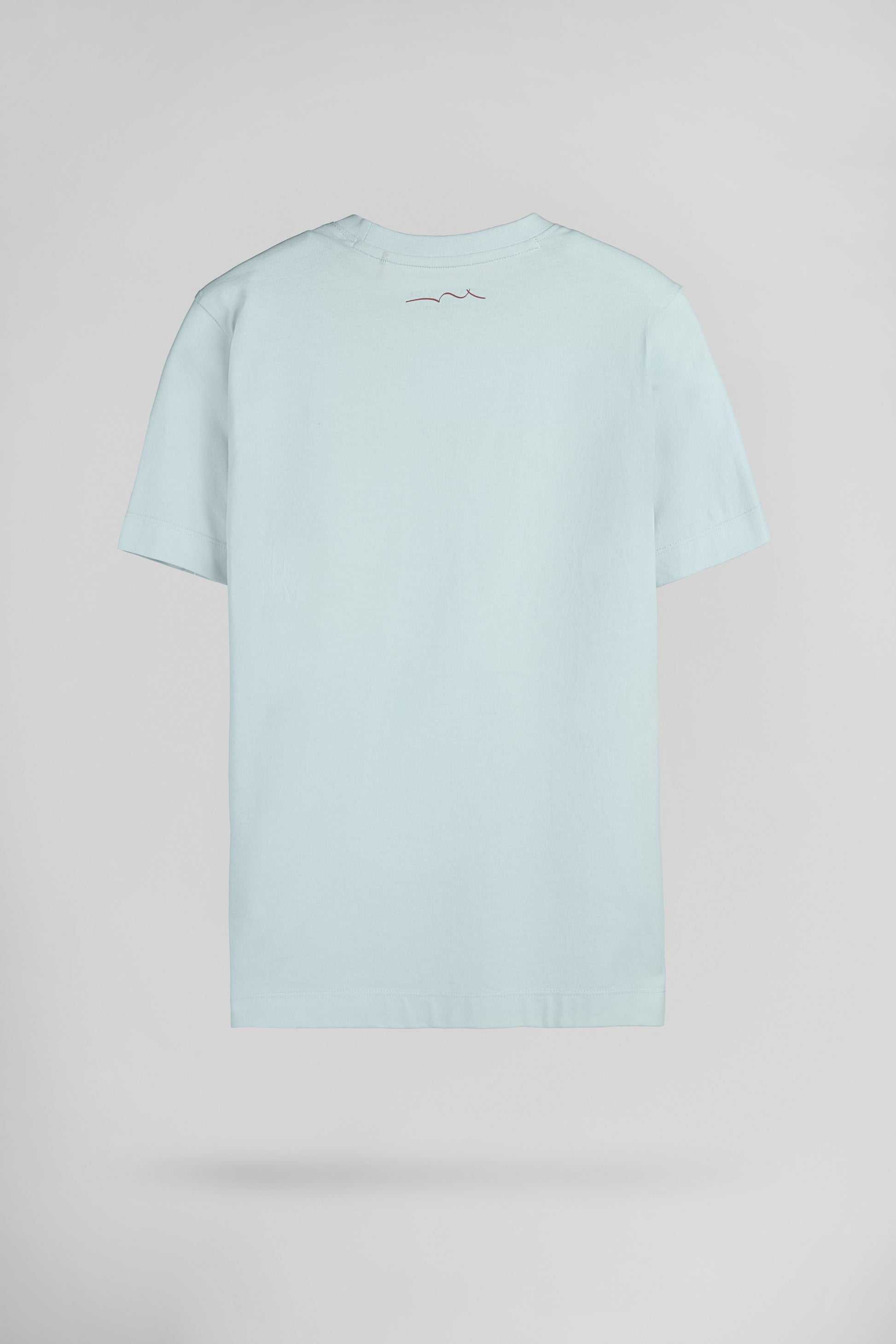 T-shirt col rond T-JIM MC JR BLEACH MENTHOL - Teddy Smith