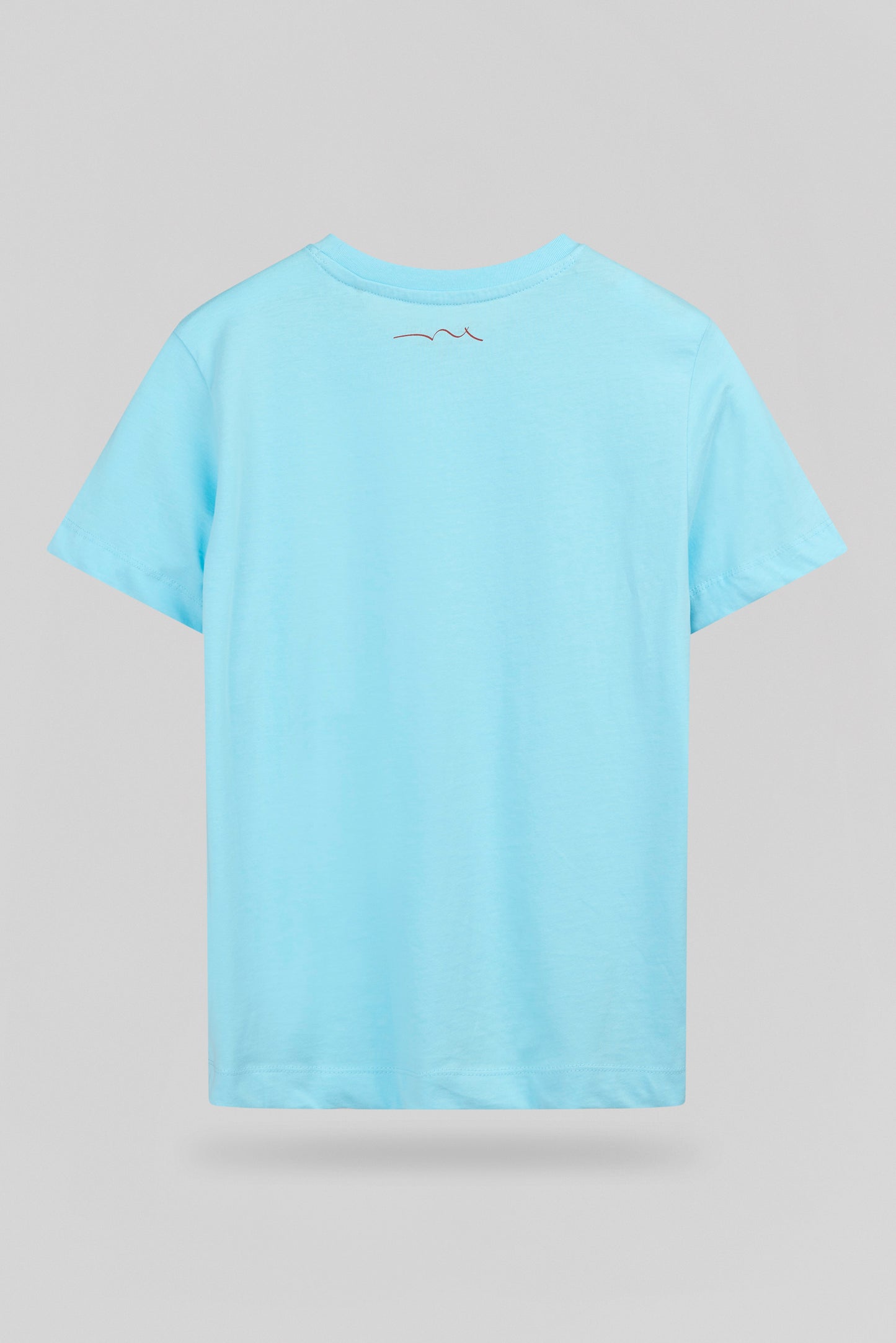 T-shirt col rond T-LIONEL MC JR BLEU LAGON - Teddy Smith