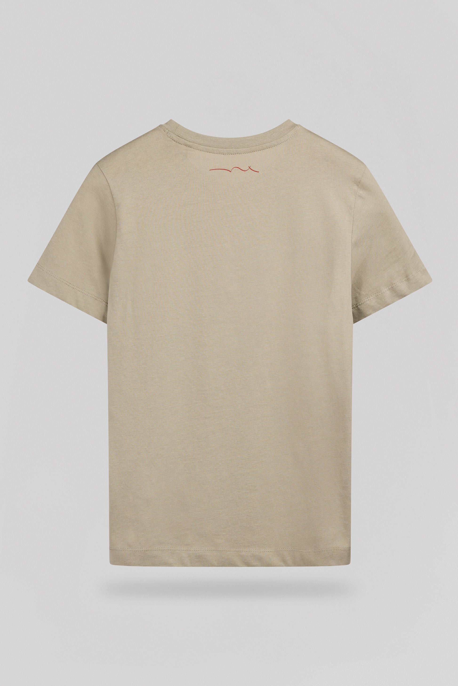 T-shirt col rond T-LIONEL MC JR BLEACH KAKI - Teddy Smith