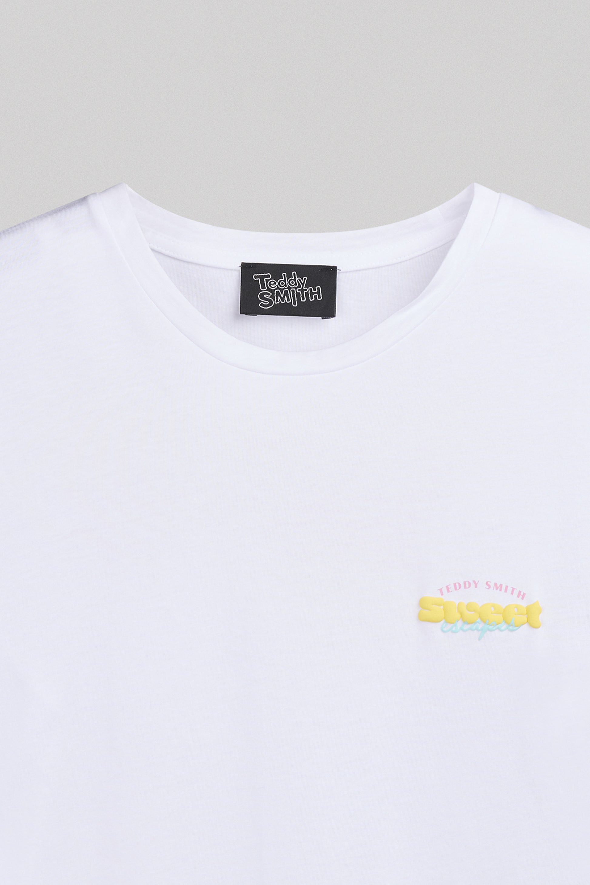 T-shirt T-ICY MC BLANC - Teddy Smith