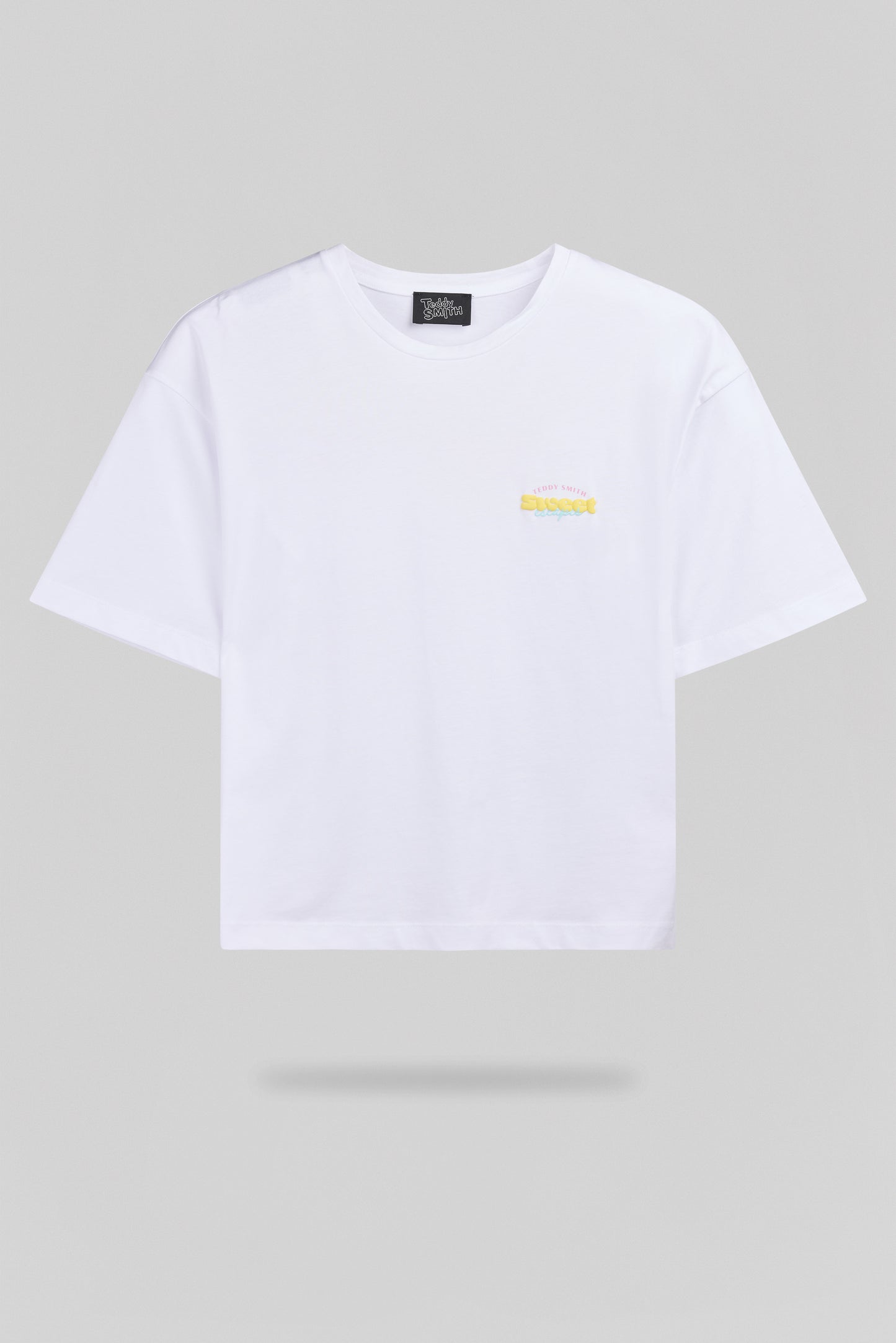 T-shirt T-ICY MC BLANC - Teddy Smith