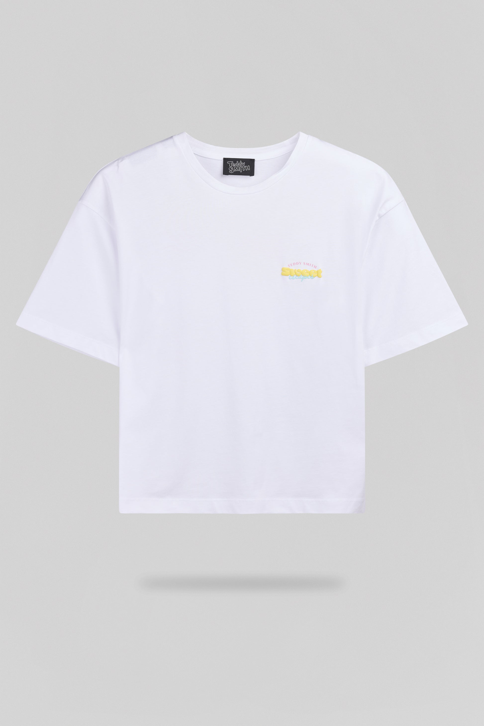 T-shirt T-ICY MC BLANC - Teddy Smith
