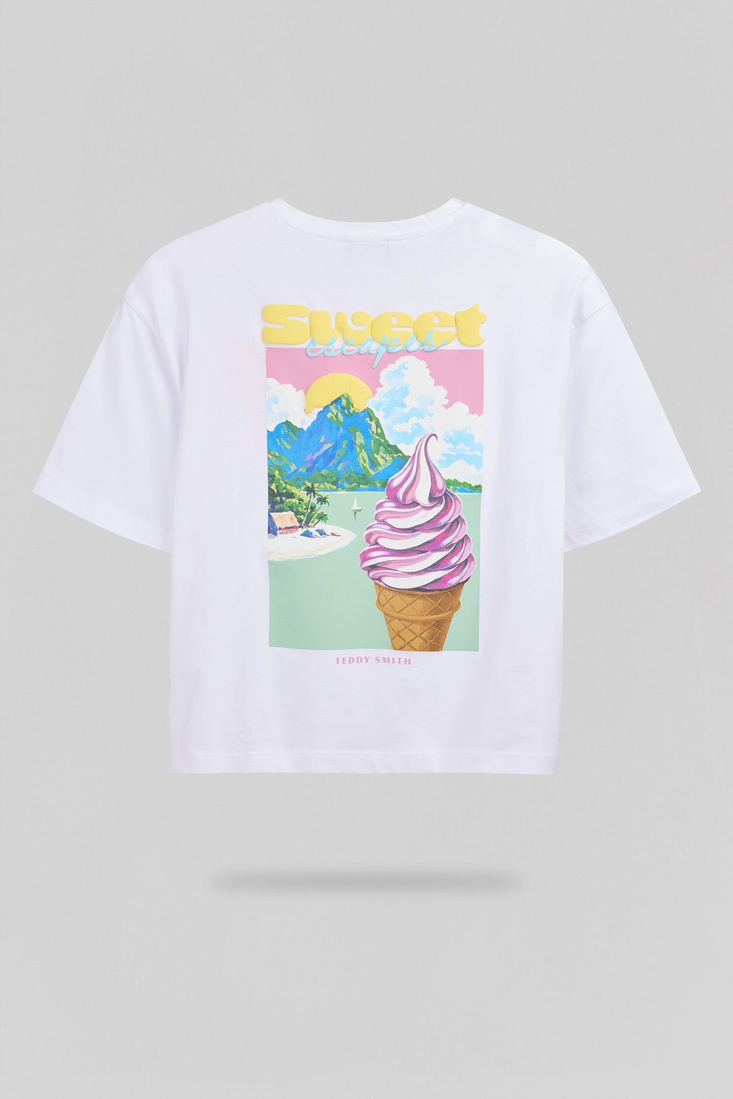 T-shirt T-ICY MC BLANC - Teddy Smith