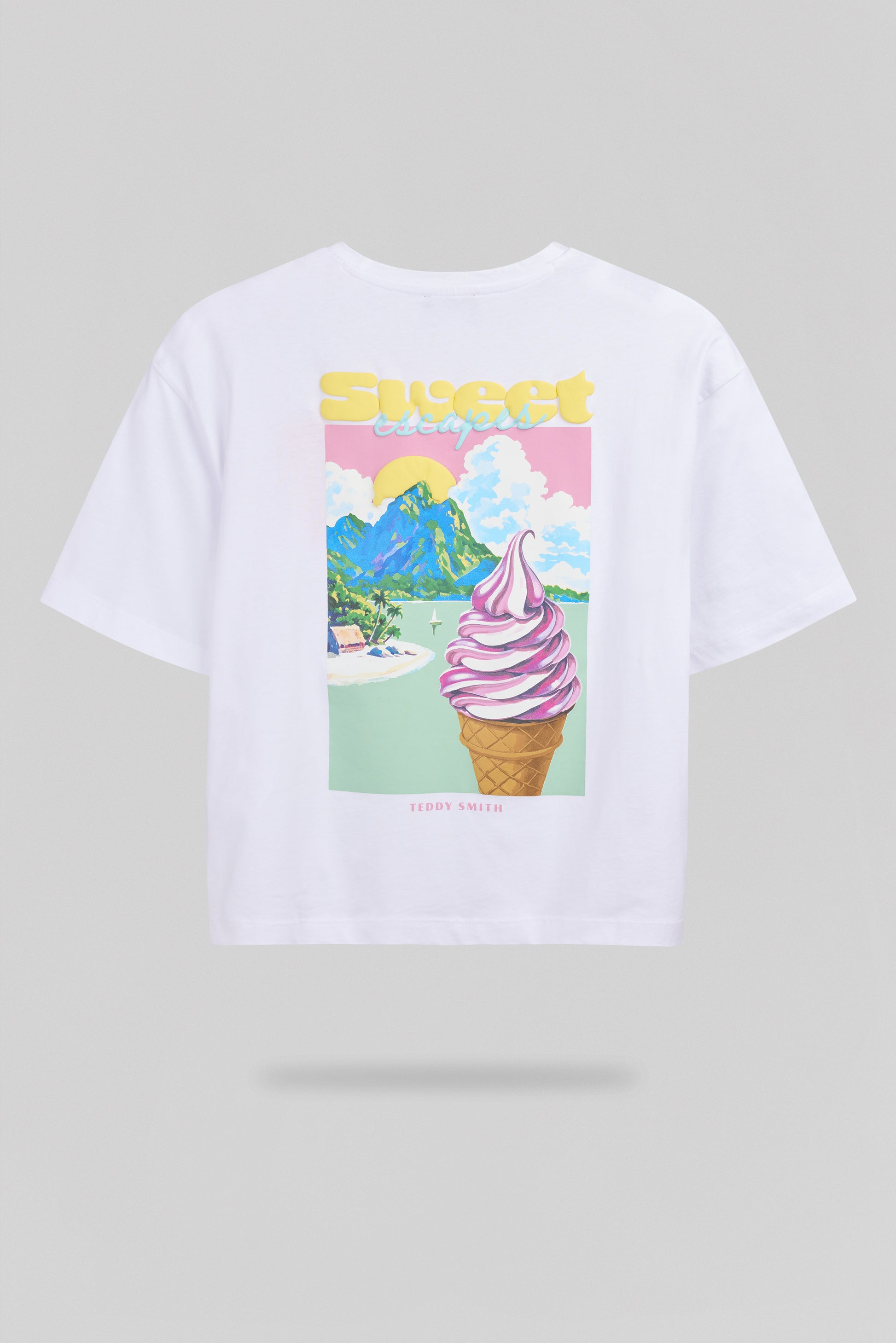 T-shirt T-ICY MC BLANC - Teddy Smith