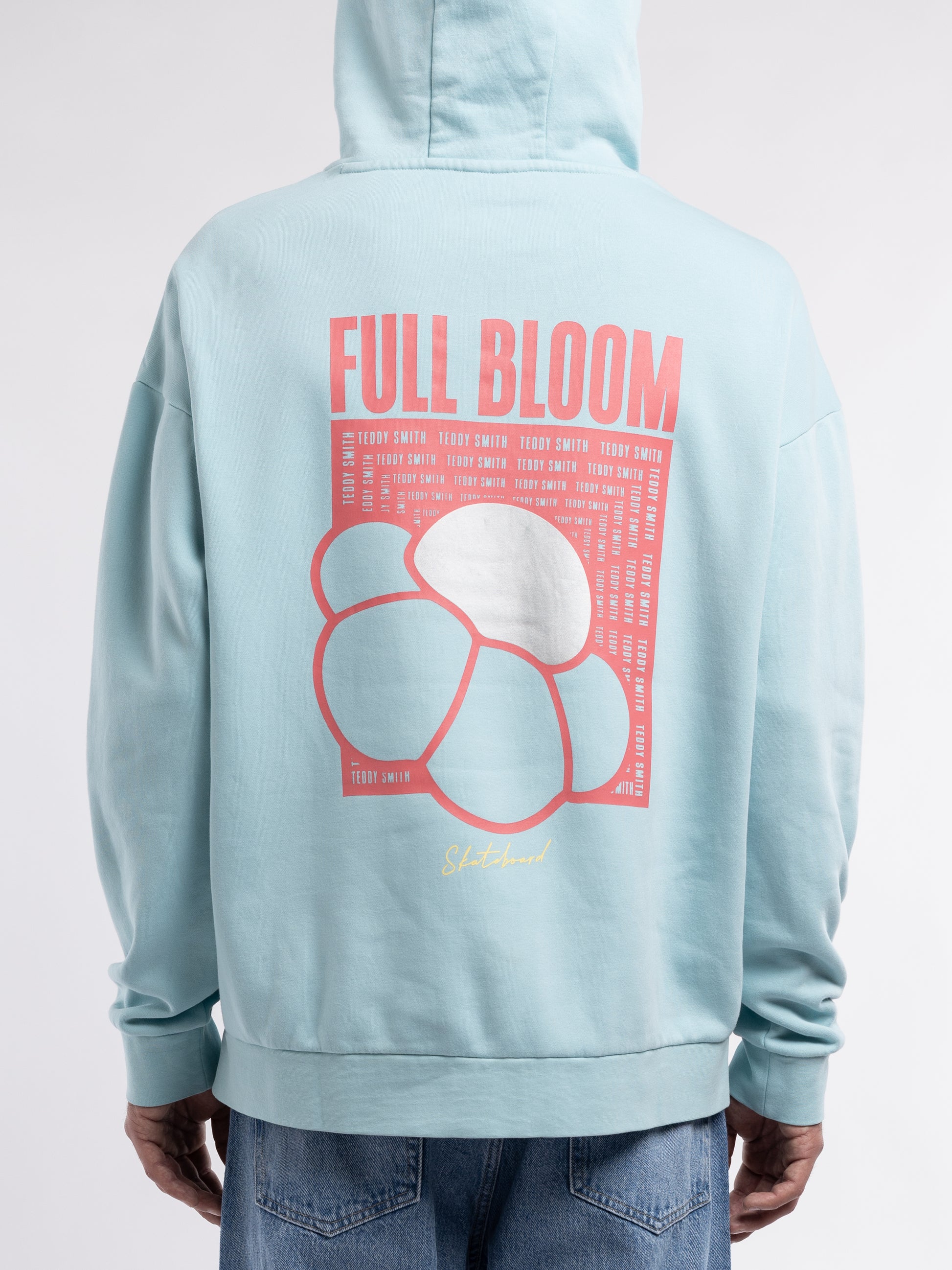 Sweat S-RIMA HOODY BLEU LAGON - Teddy Smith