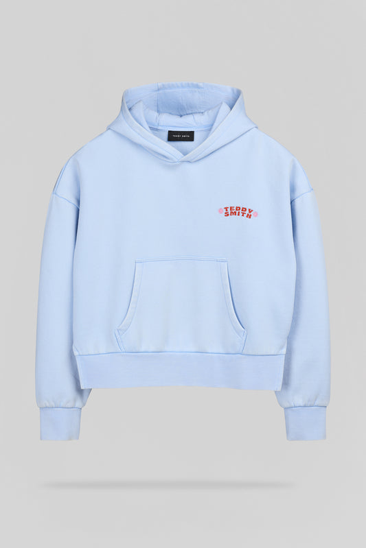 Achat Sweat S-BIRD HOODY JR BLEU CIEL