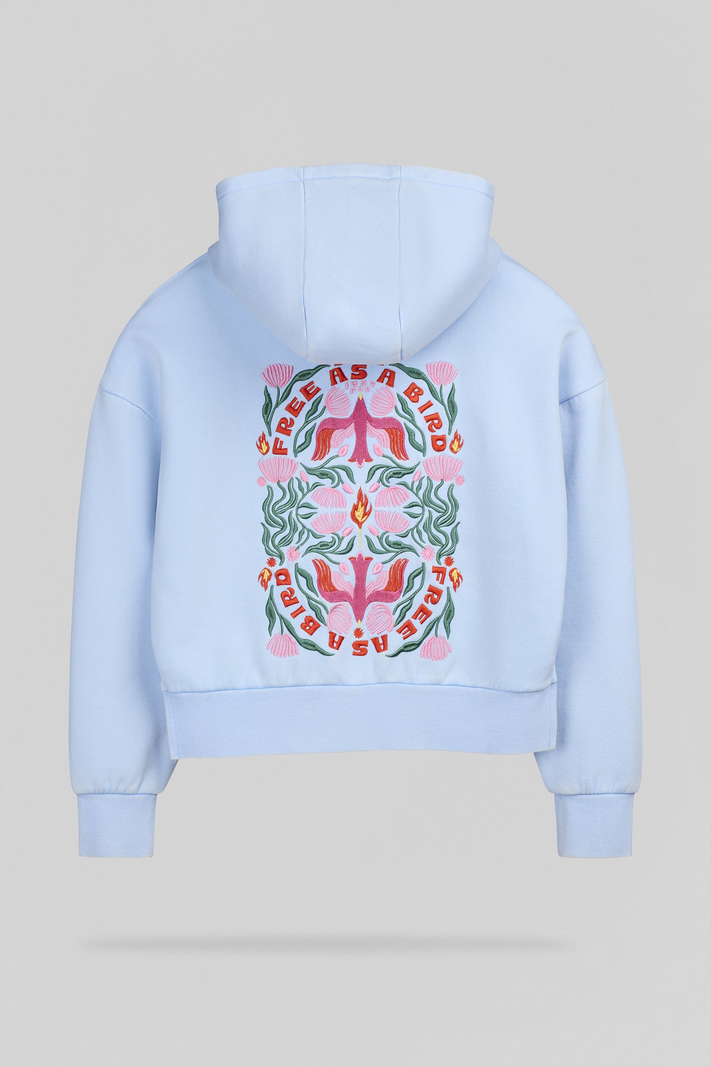 Sweat S-BIRD HOODY JR BLEU CIEL
