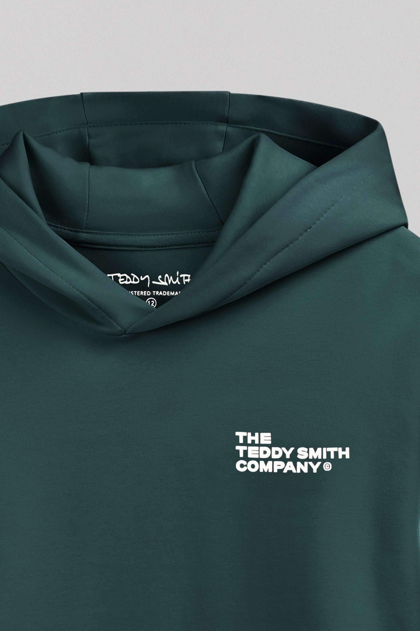 Sweat à capuche S-COMPANY HOODY VERT PIN