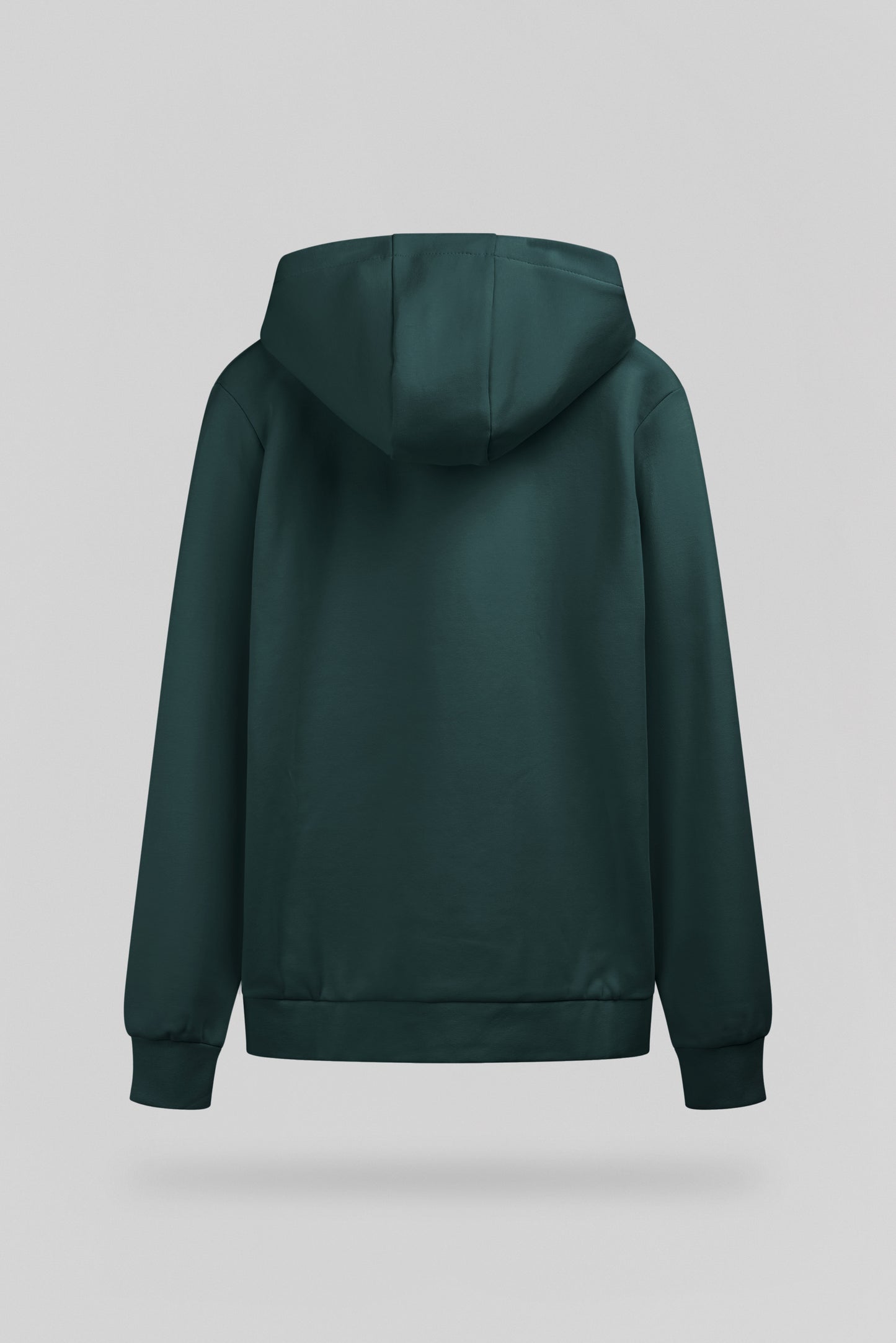 Sweat à capuche S-COMPANY HOODY VERT PIN