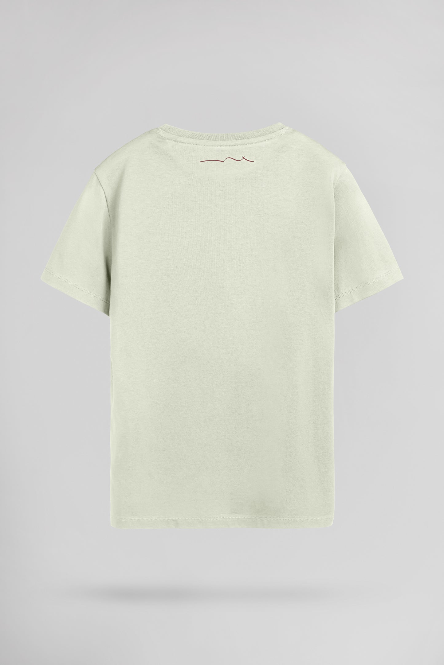 T-shirt col rond T-EVAN MC JR VERT NACRE