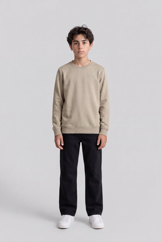 Achat Sweat col rond S-NARK RC JR BLEACH KAKI