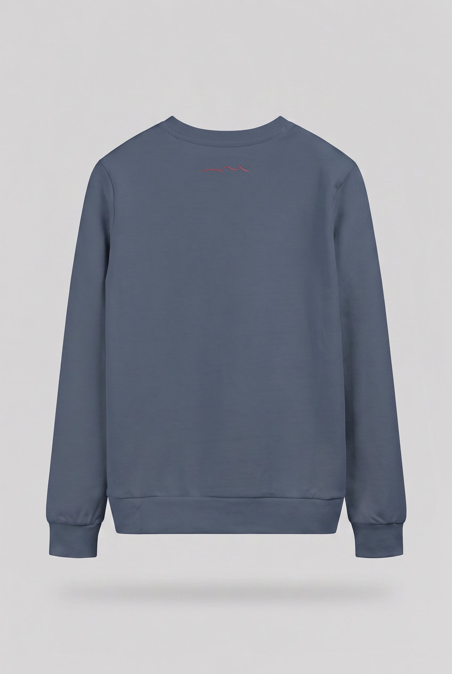 Sweat S-COMPANY RC JR GRIS METEORE