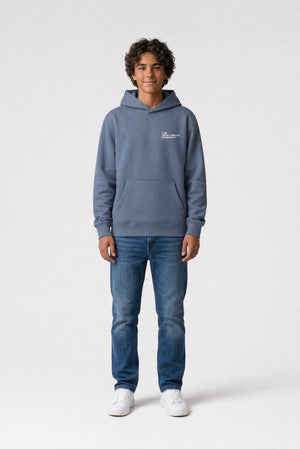 Sweat à capuche S-COMPANY HOODY JR GRIS METEORE - Teddy Smith